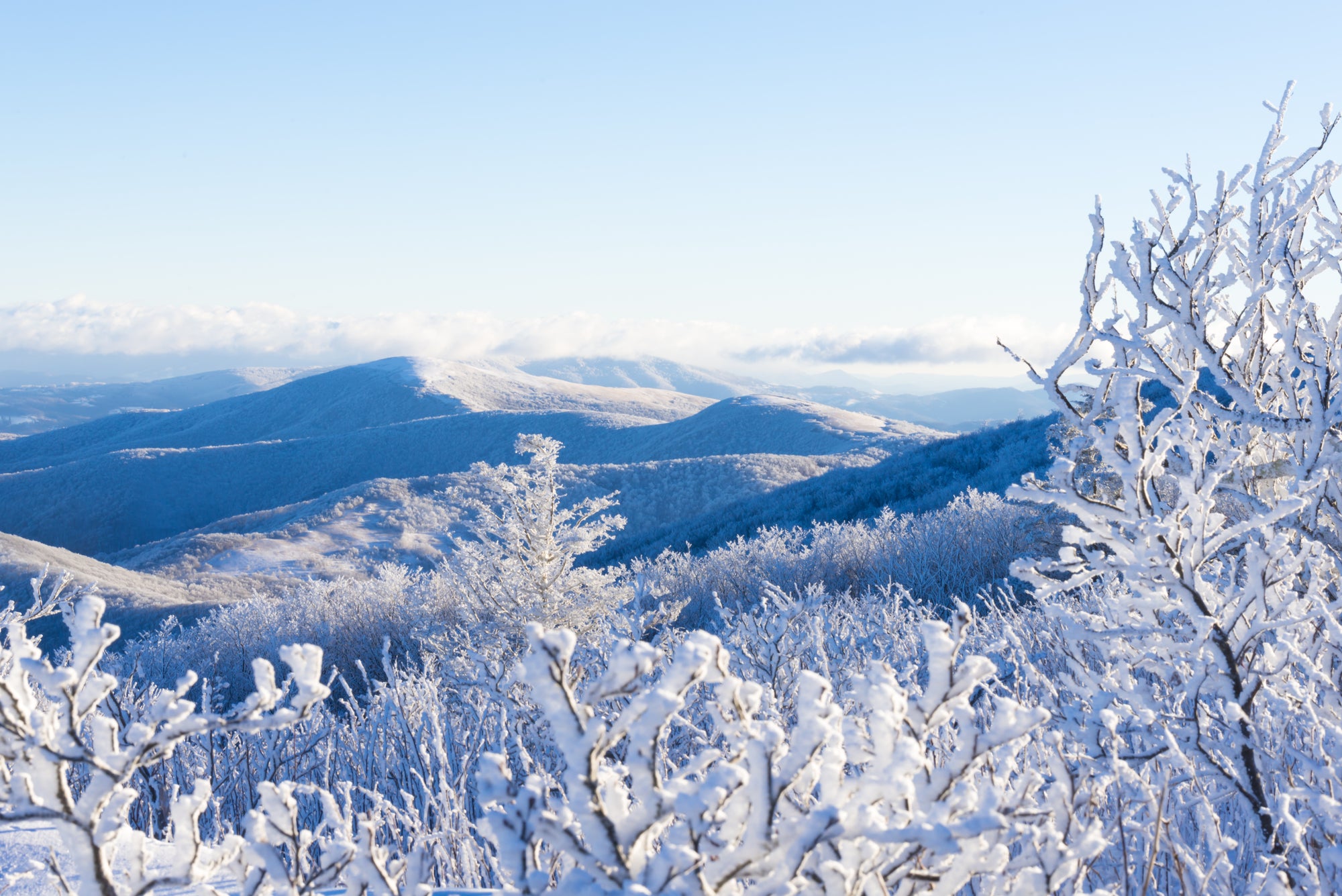 decorative winter appalachian mountains
