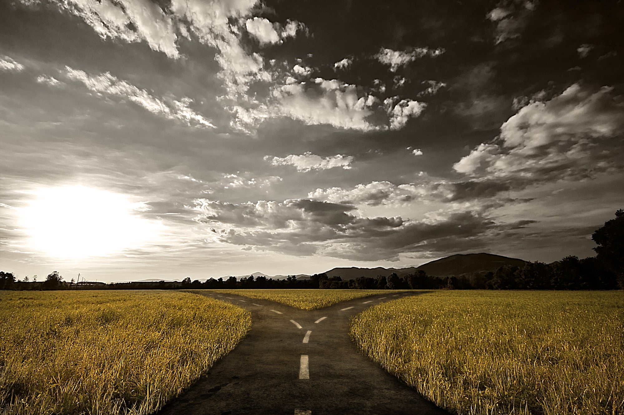 Decorative photo of two paths