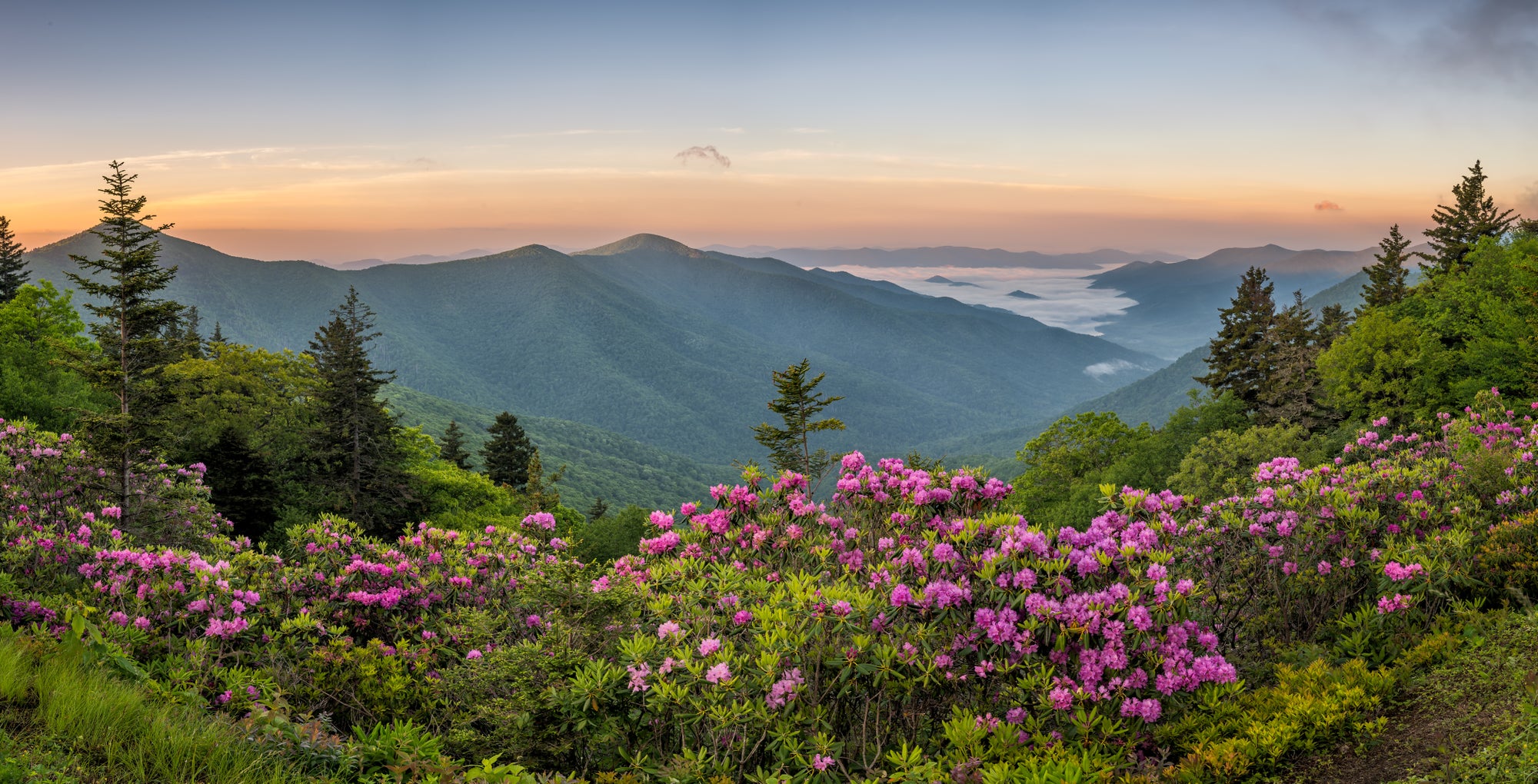 Decorative Mountain Image