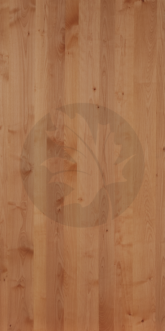 B PLAIN SLICE ALDER FACE1