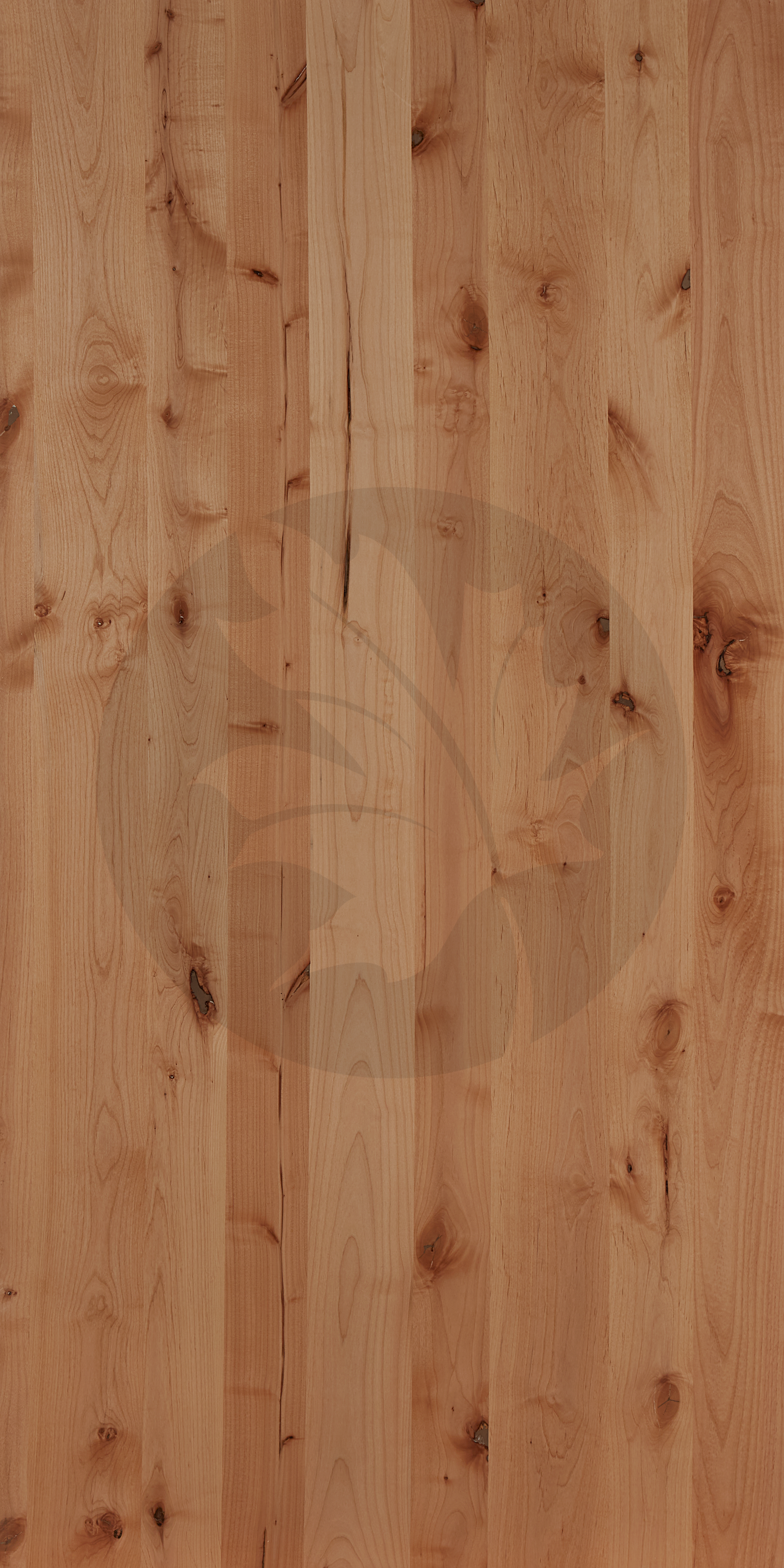 C PLAIN SLICE ALDER FACE1