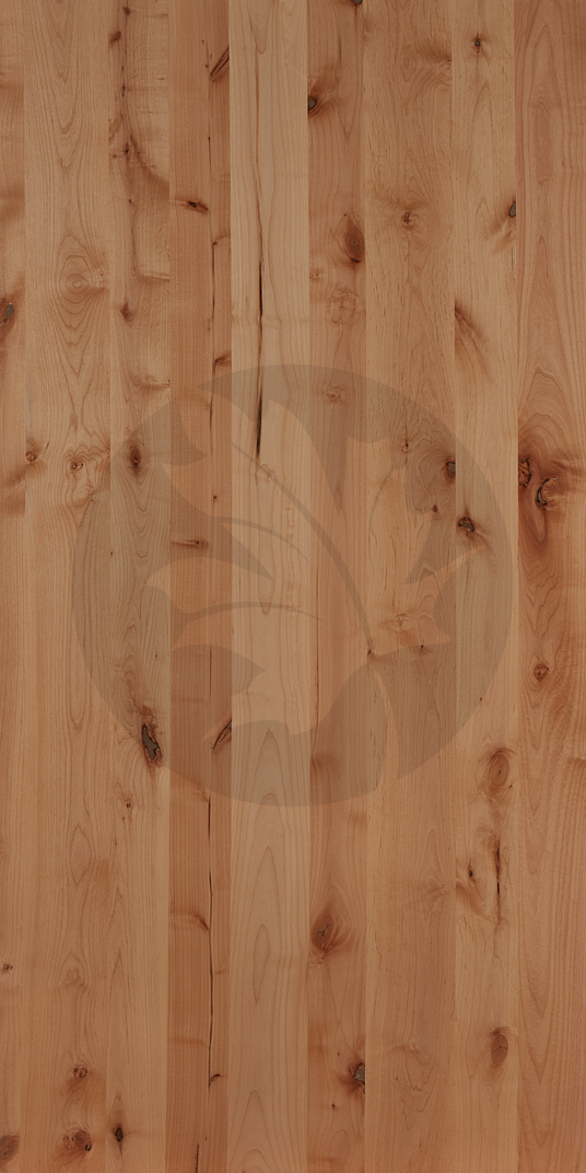C PLAIN SLICE ALDER FACE1