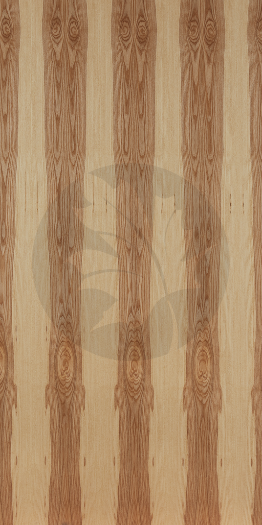 A GRADE PLAIN SLICE ASH FACE1