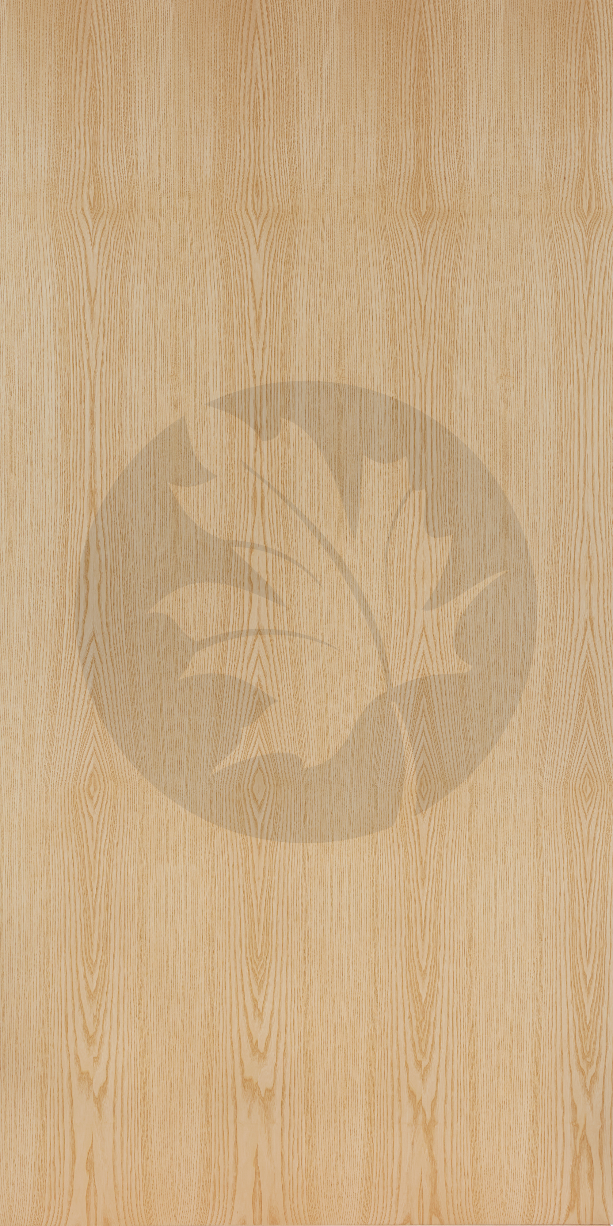 B GRADE PLAIN SLICE ASH FACE1 SAP