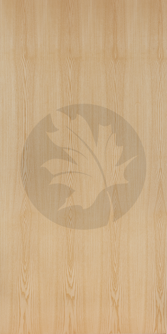 B GRADE PLAIN SLICE ASH FACE1 SAP