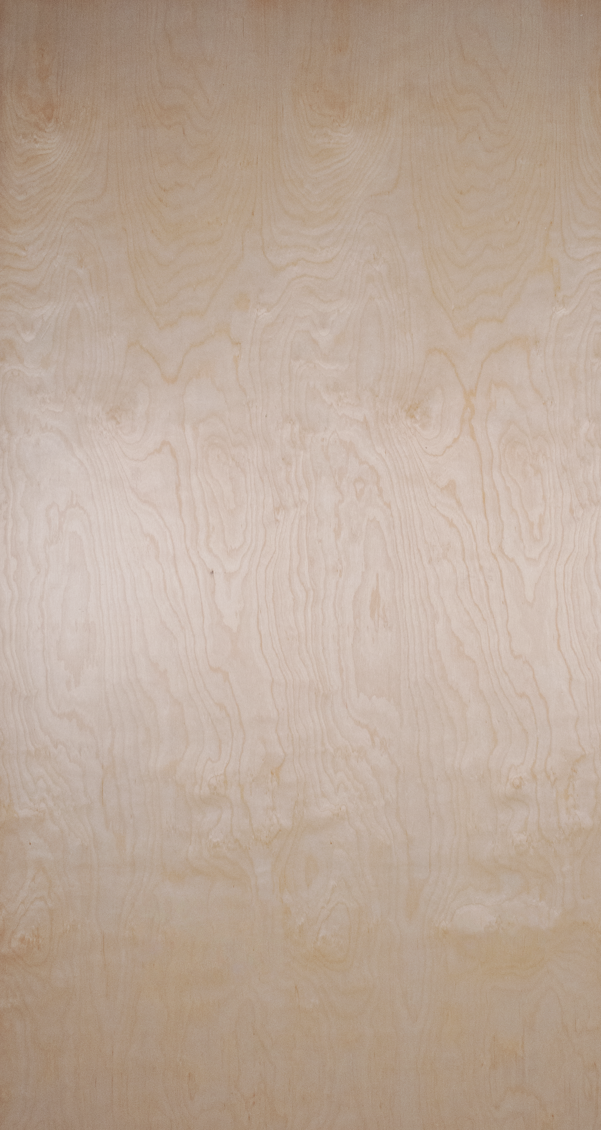 DSC_0009_Merisier_accentationgrain.png