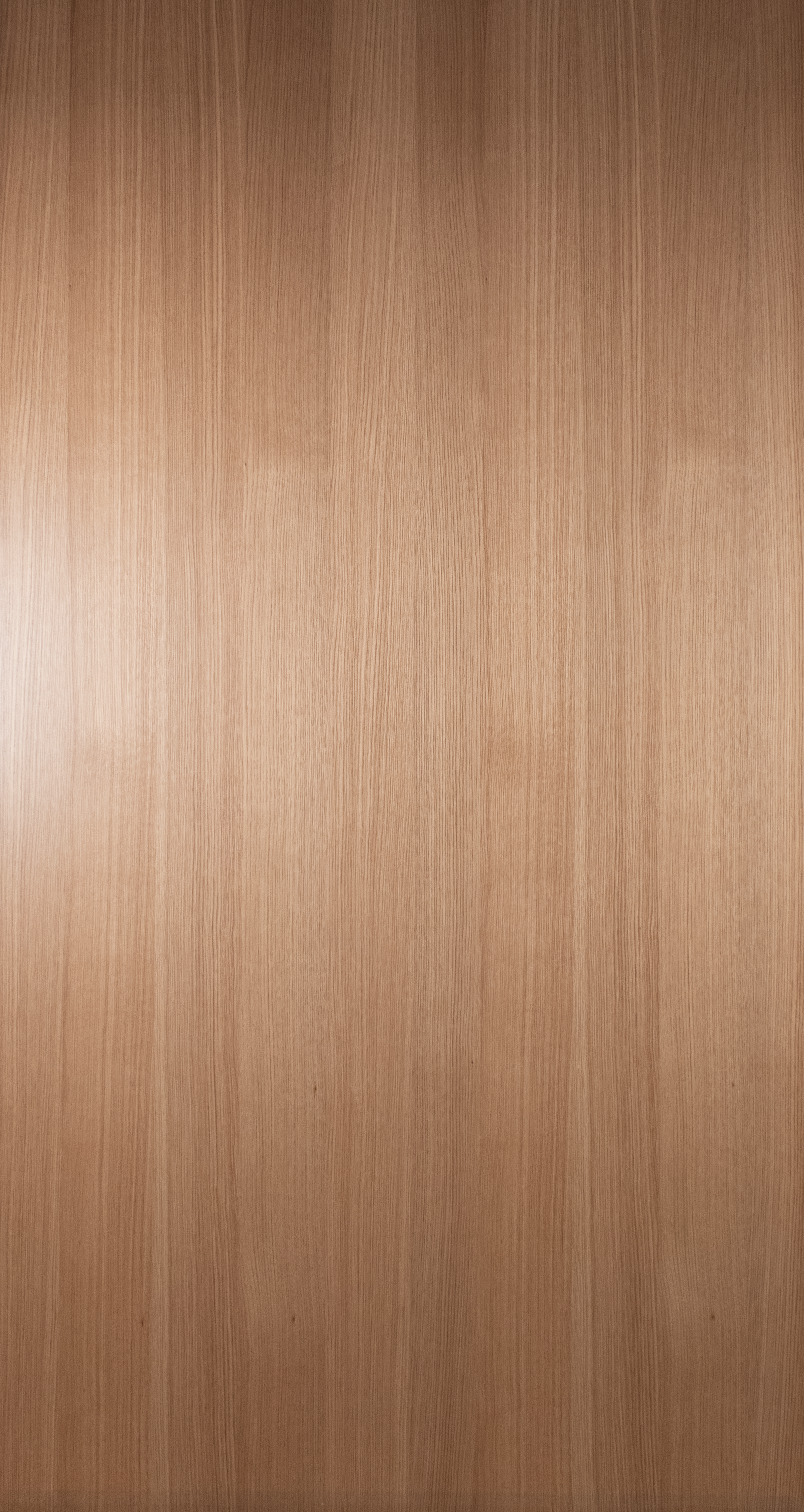 DSC_0023_Cheneblancriftcut_ajustementcouleur.png