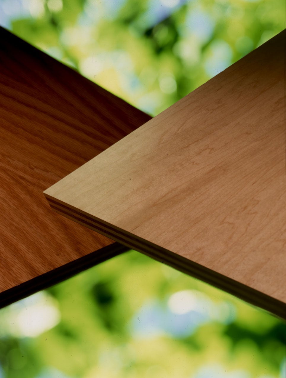 Certified Wood with Green Leaf Backgrou.jpg