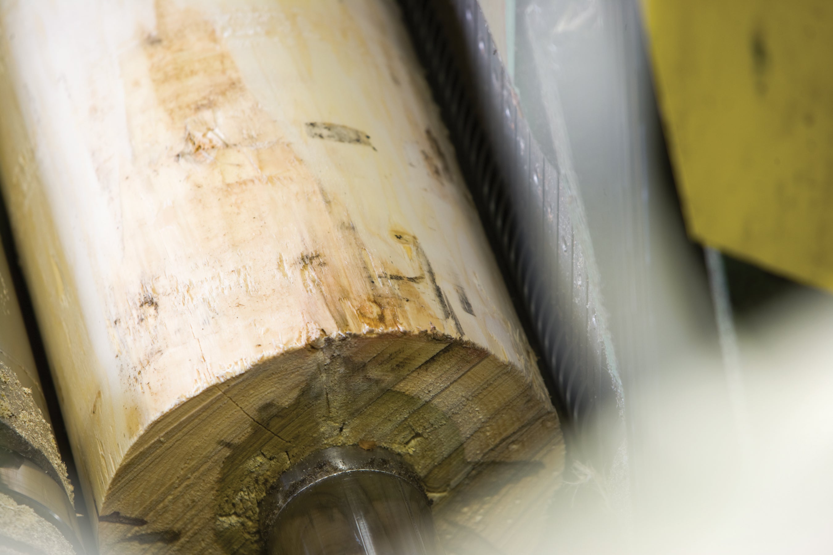 CFP_Lathe Peeling Log Detail (2).jpg