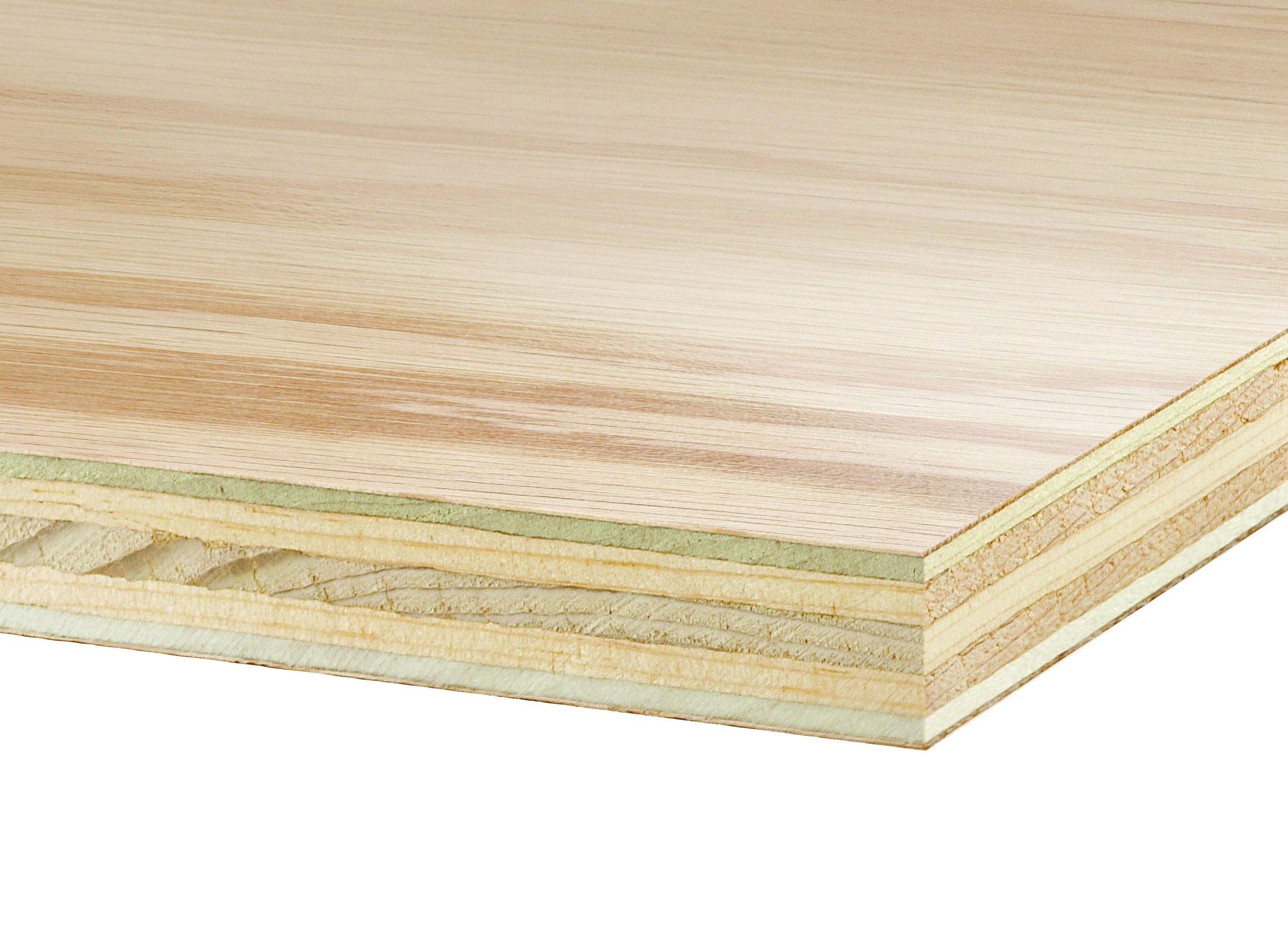 MPX_Fir_Poplar_Core_Path.jpg