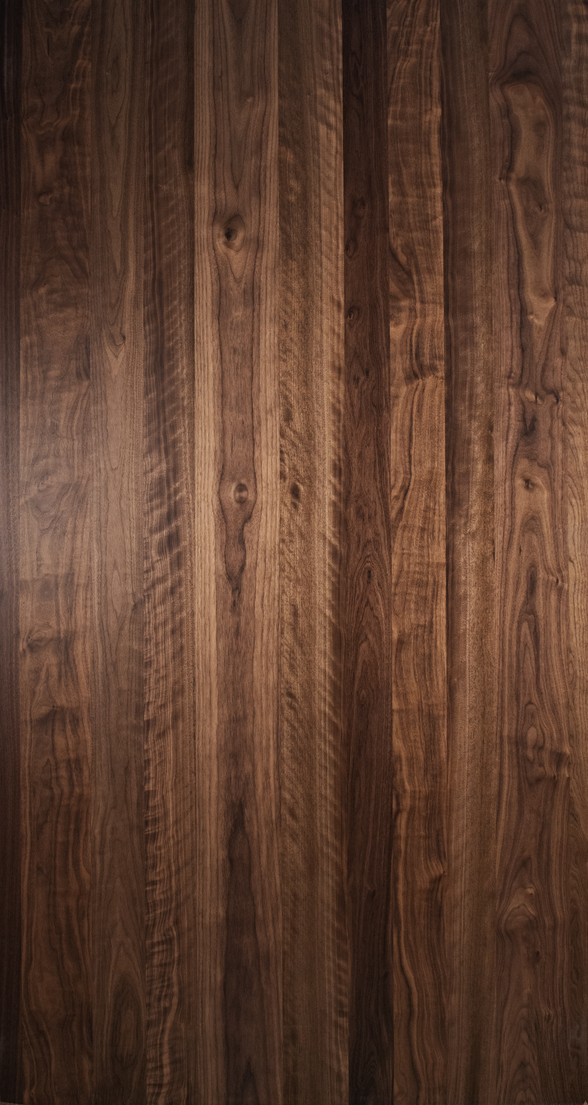 DSC_0002_NOYER_accentuationgrain.png