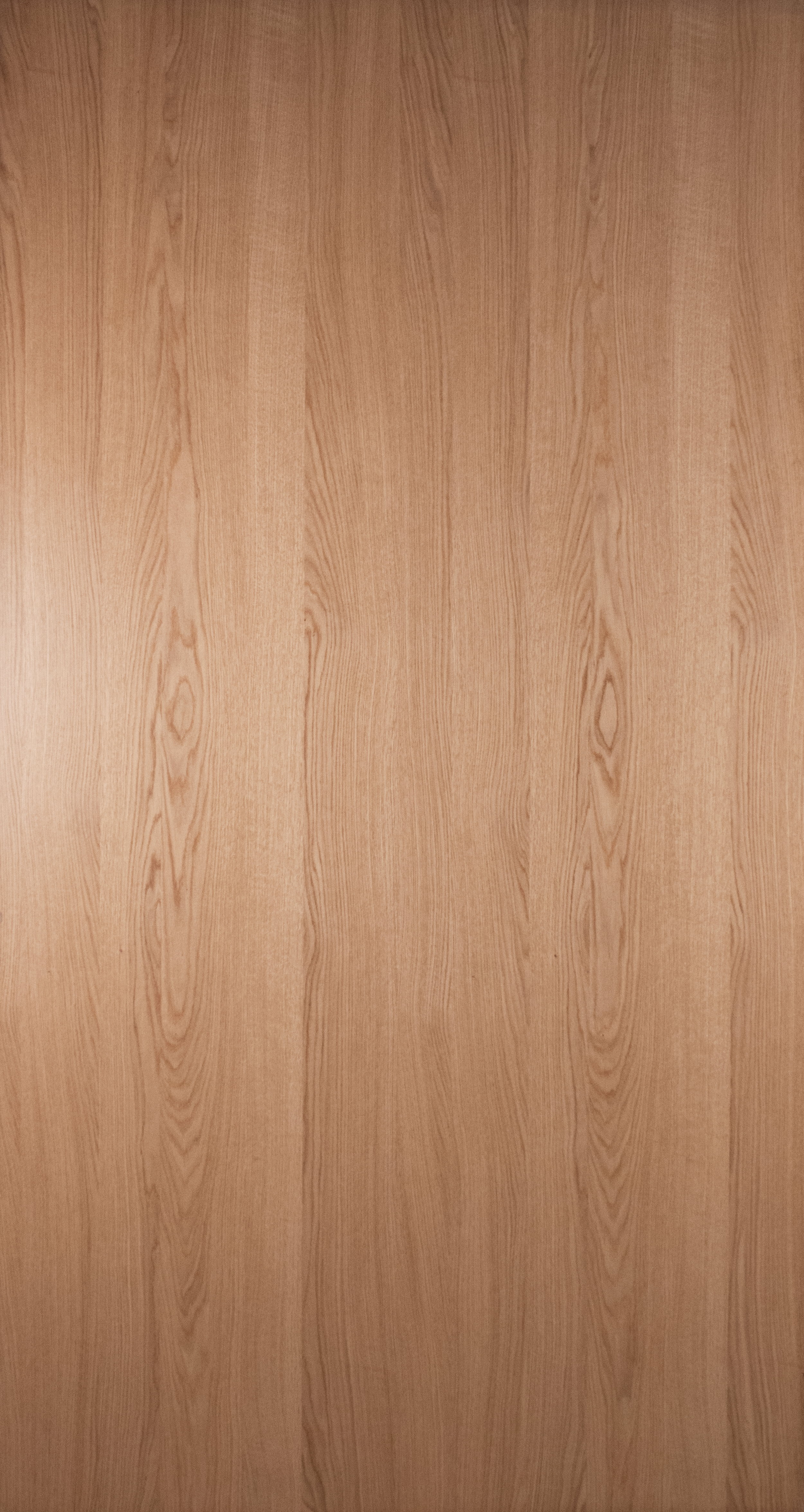 DSC_0021_Cheneblanctranche_Ajustementcouleur.png