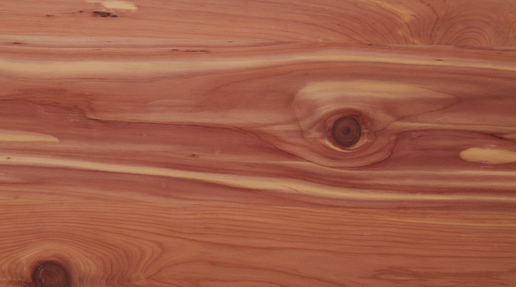 Aromatic Cedar Video Screenshot.png