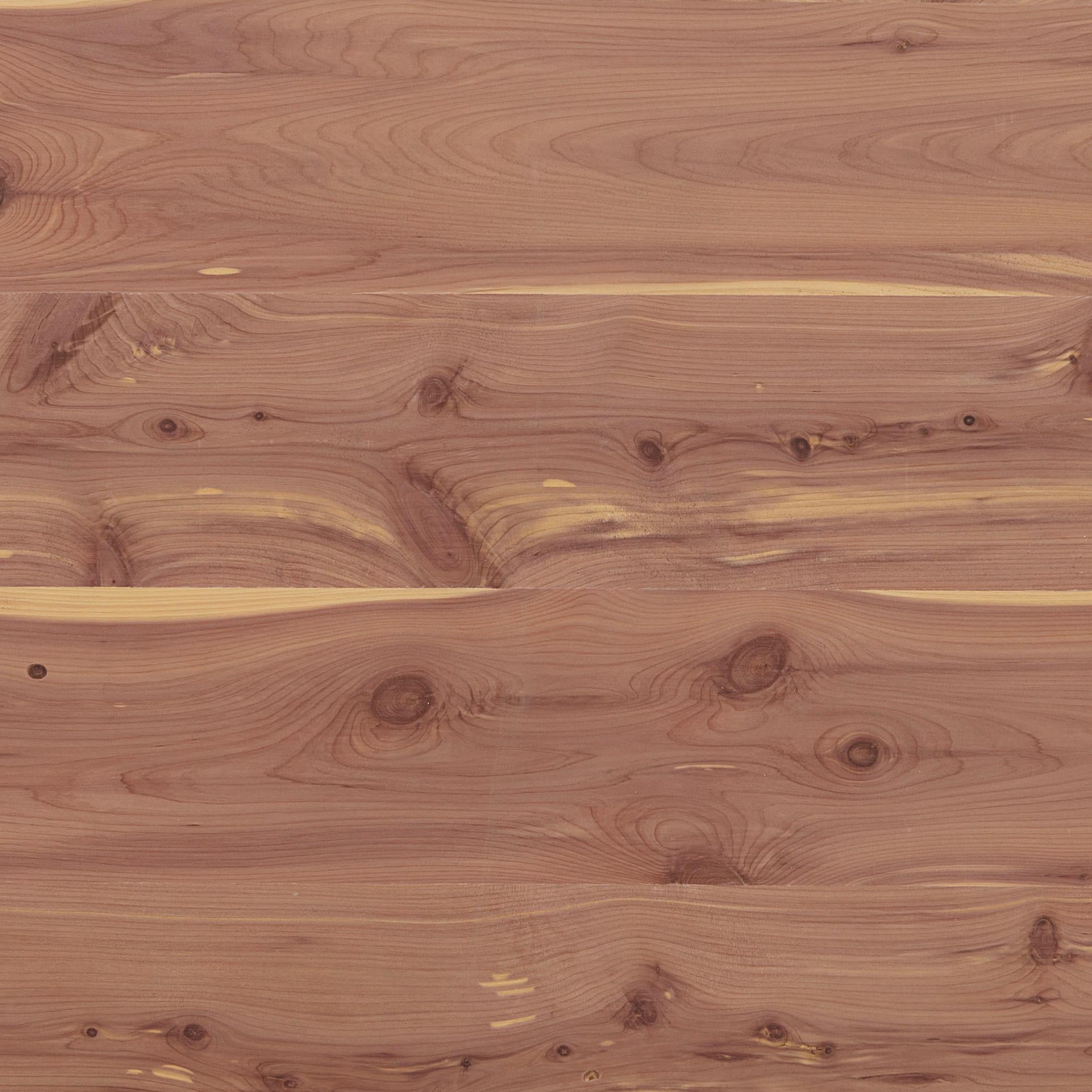 Cedar.jpg