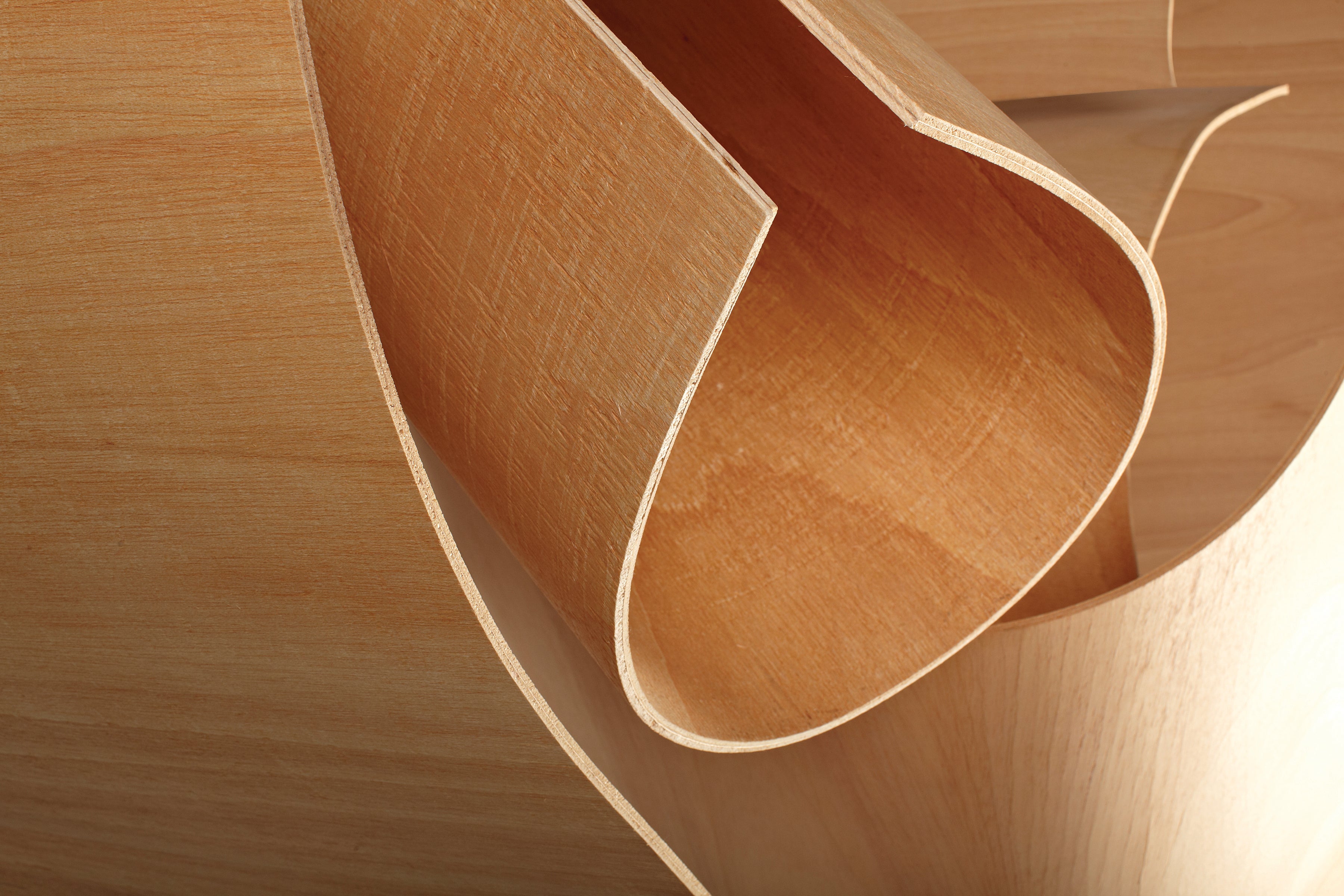Radius-Product2.jpg