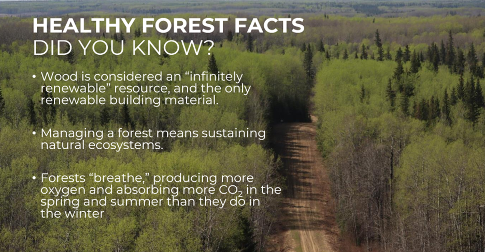Healthy Forest Facts