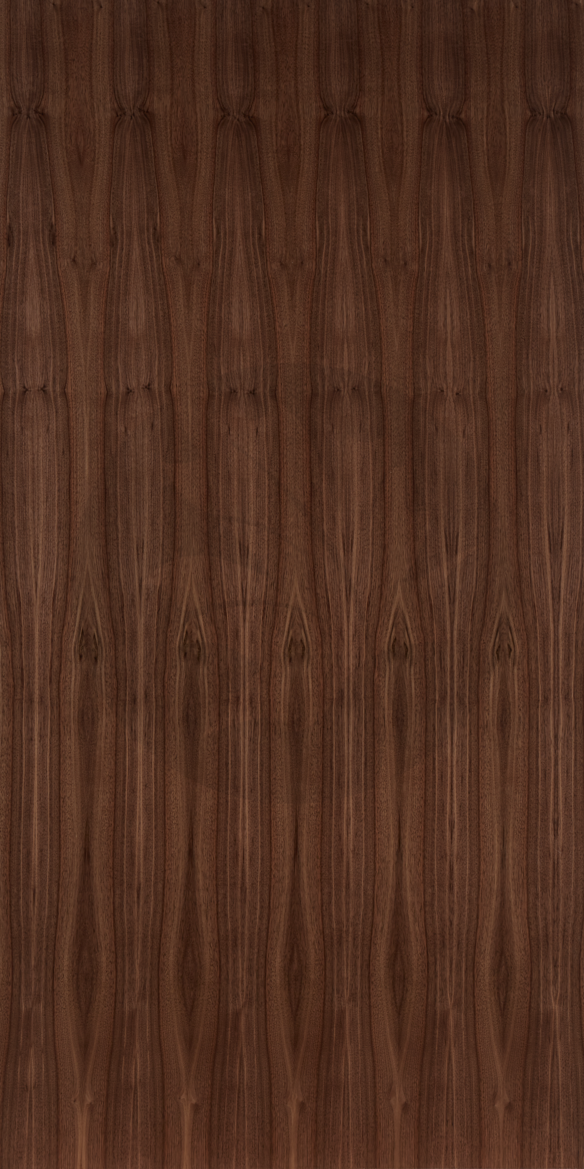 B GRADE PLAIN SLICE WALNUT FACE2