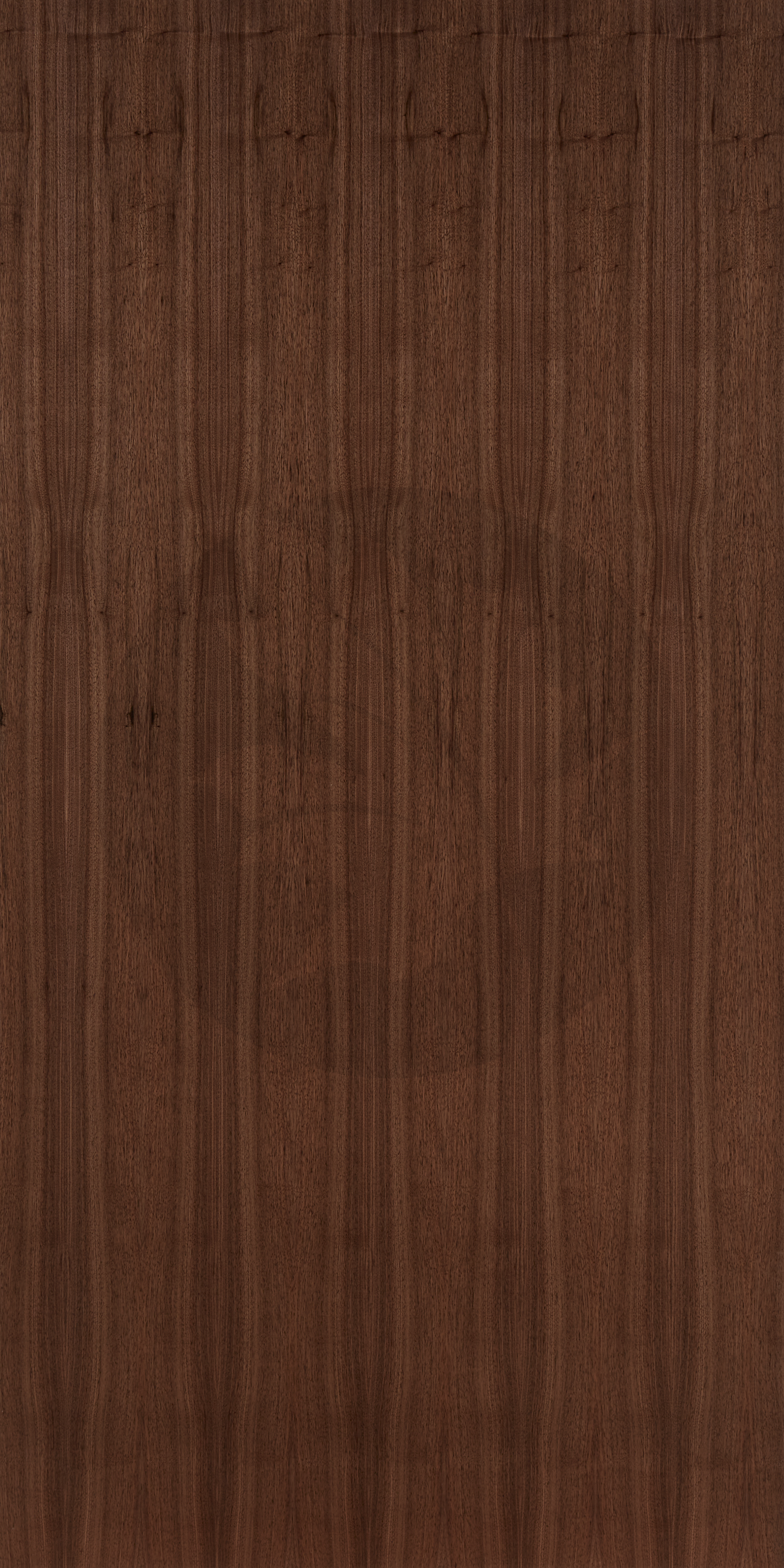 B GRADE PLAIN SLICE WALNUT FACE3