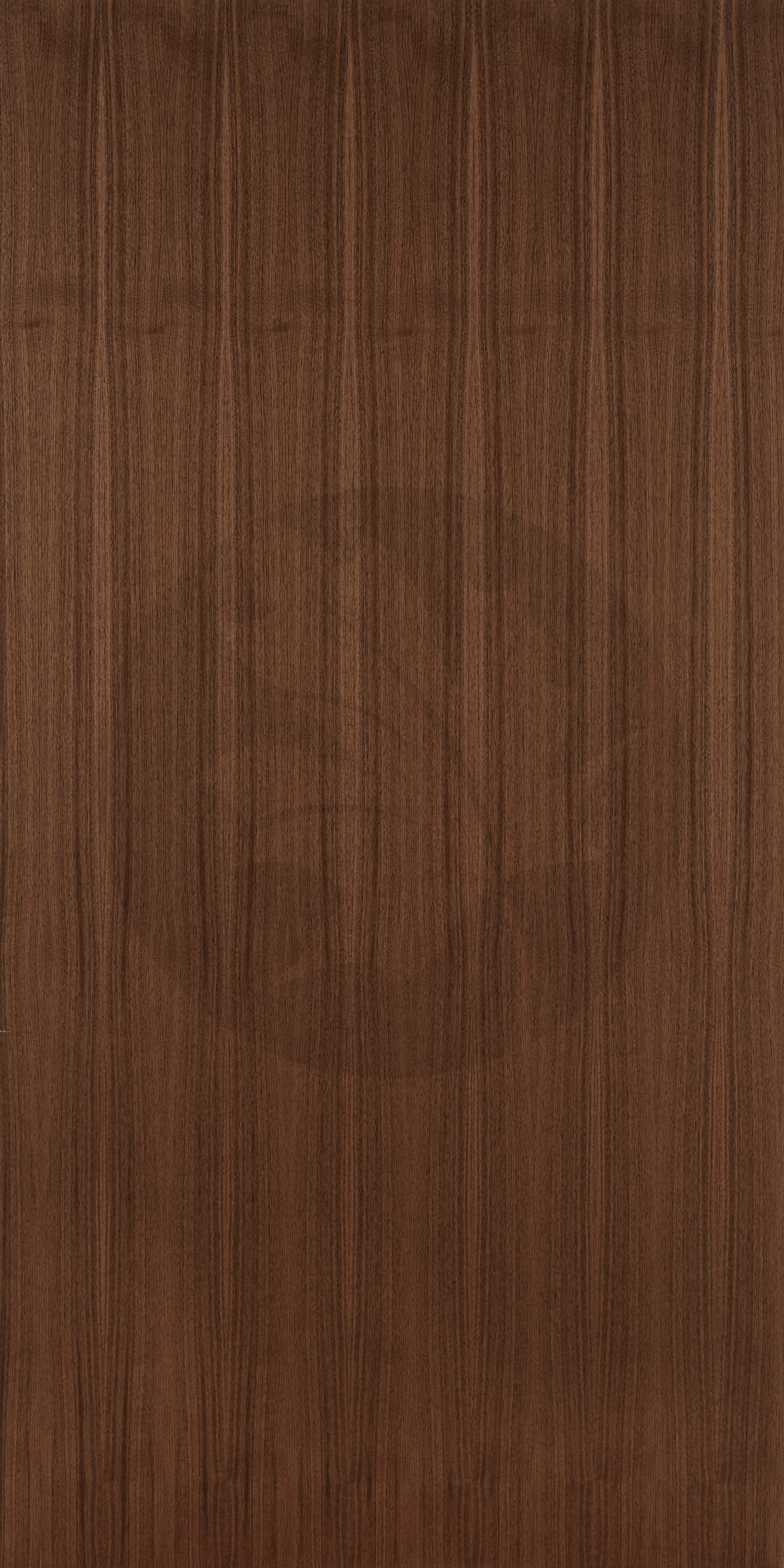 A GRADE QUARTER SAWN WALNUT FACE2