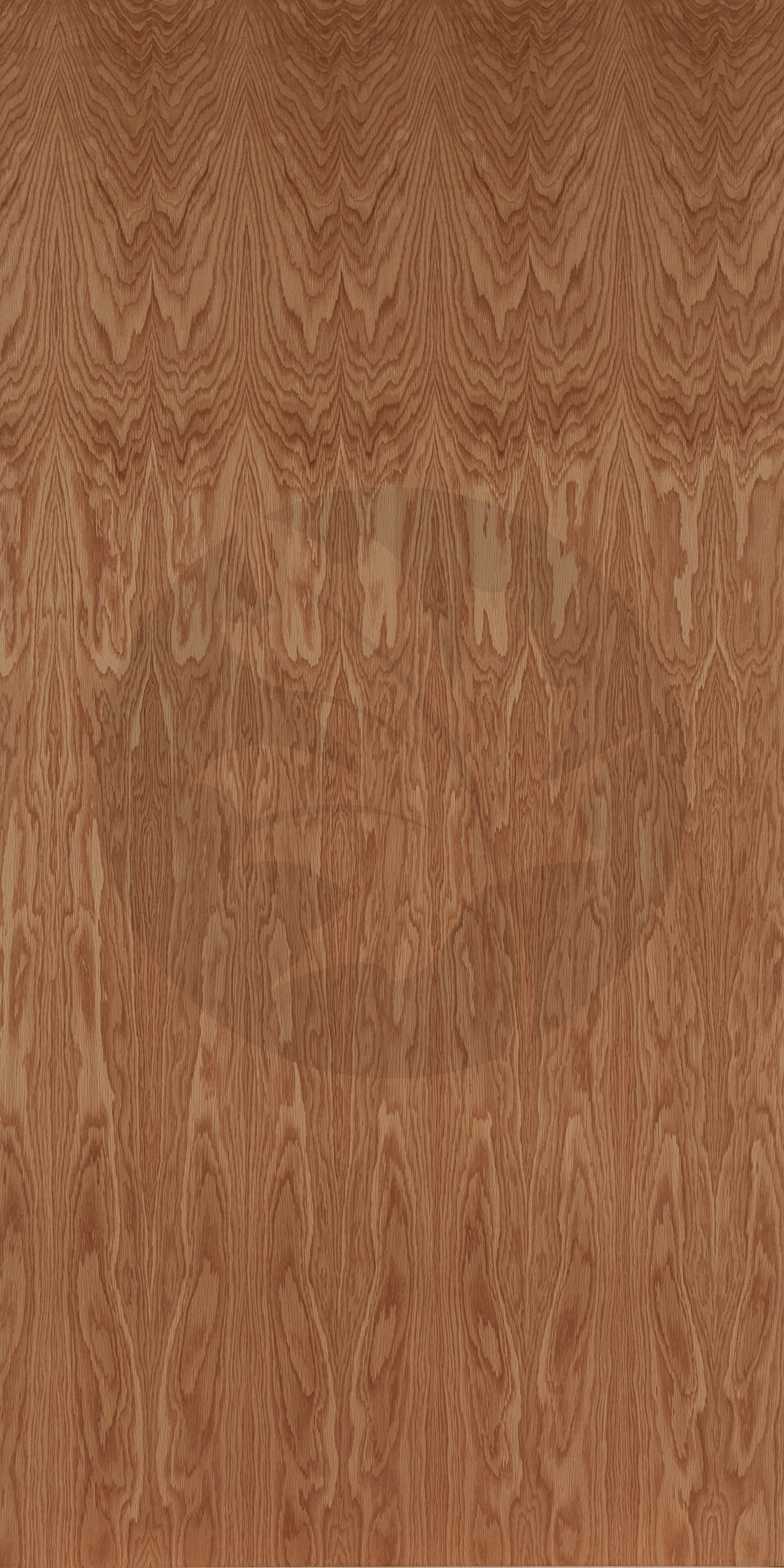 PLAIN SLICED WHITE OAK FACE2