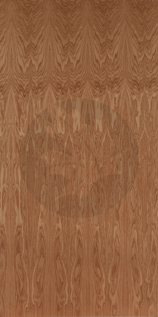 PLAIN SLICED WHITE OAK FACE2