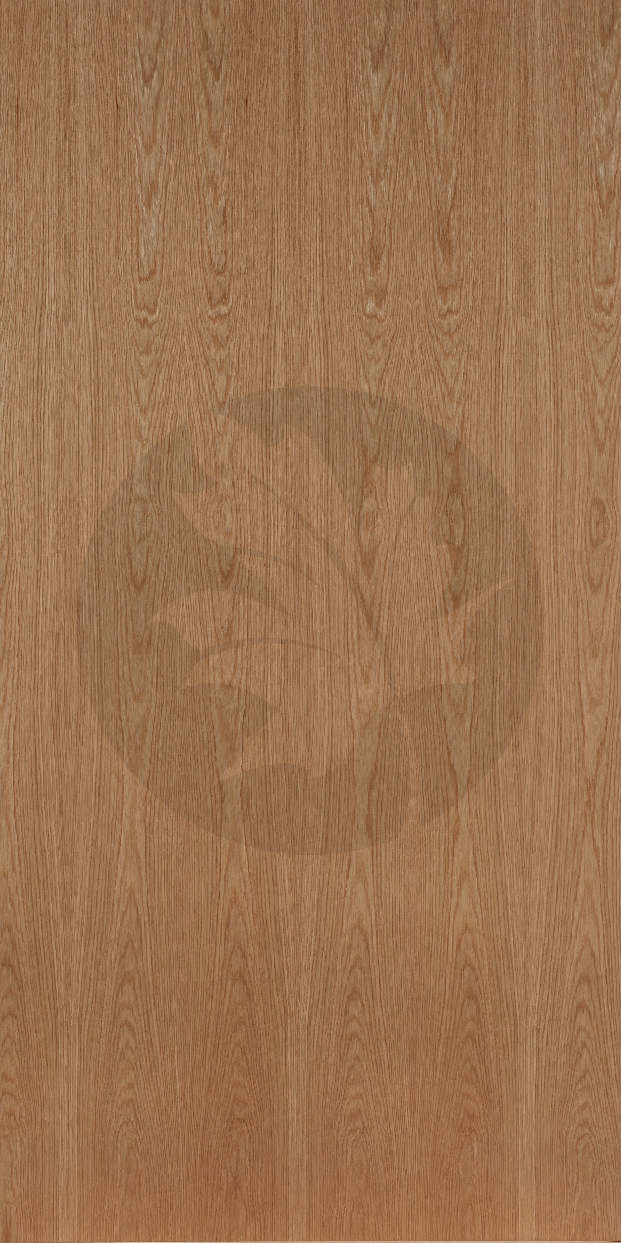 PLAIN SLICED WHITE OAK FACE3