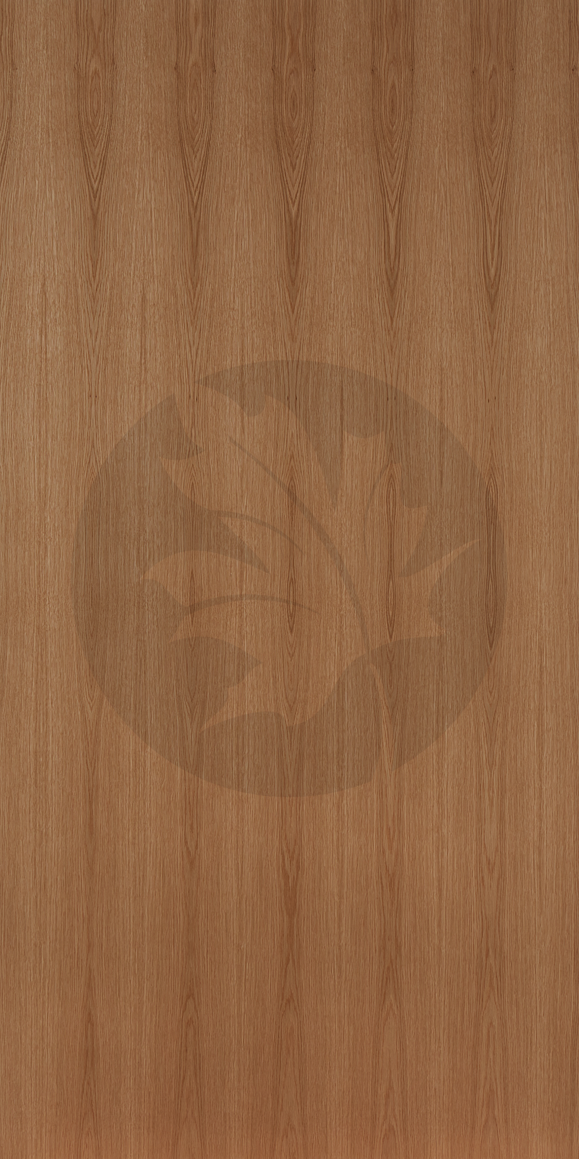 B PLAIN SLICED WHITE OAK FACE1