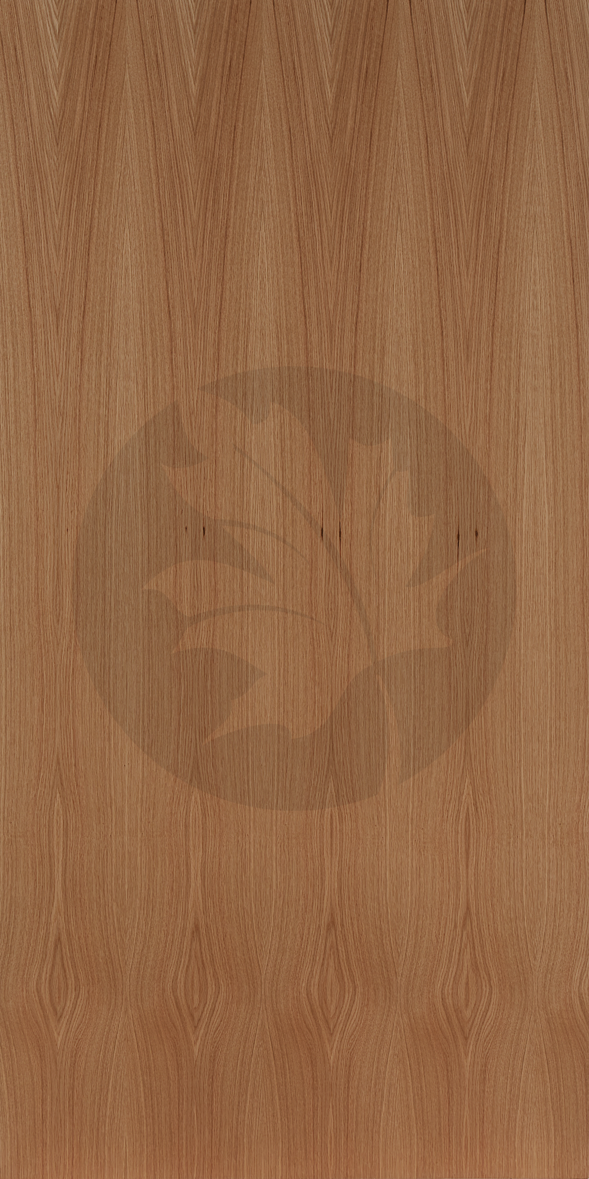 B PLAIN SLICED WHITE OAK FACE2