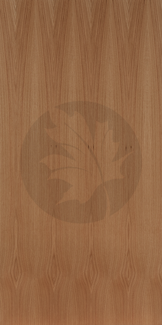 B PLAIN SLICED WHITE OAK FACE2