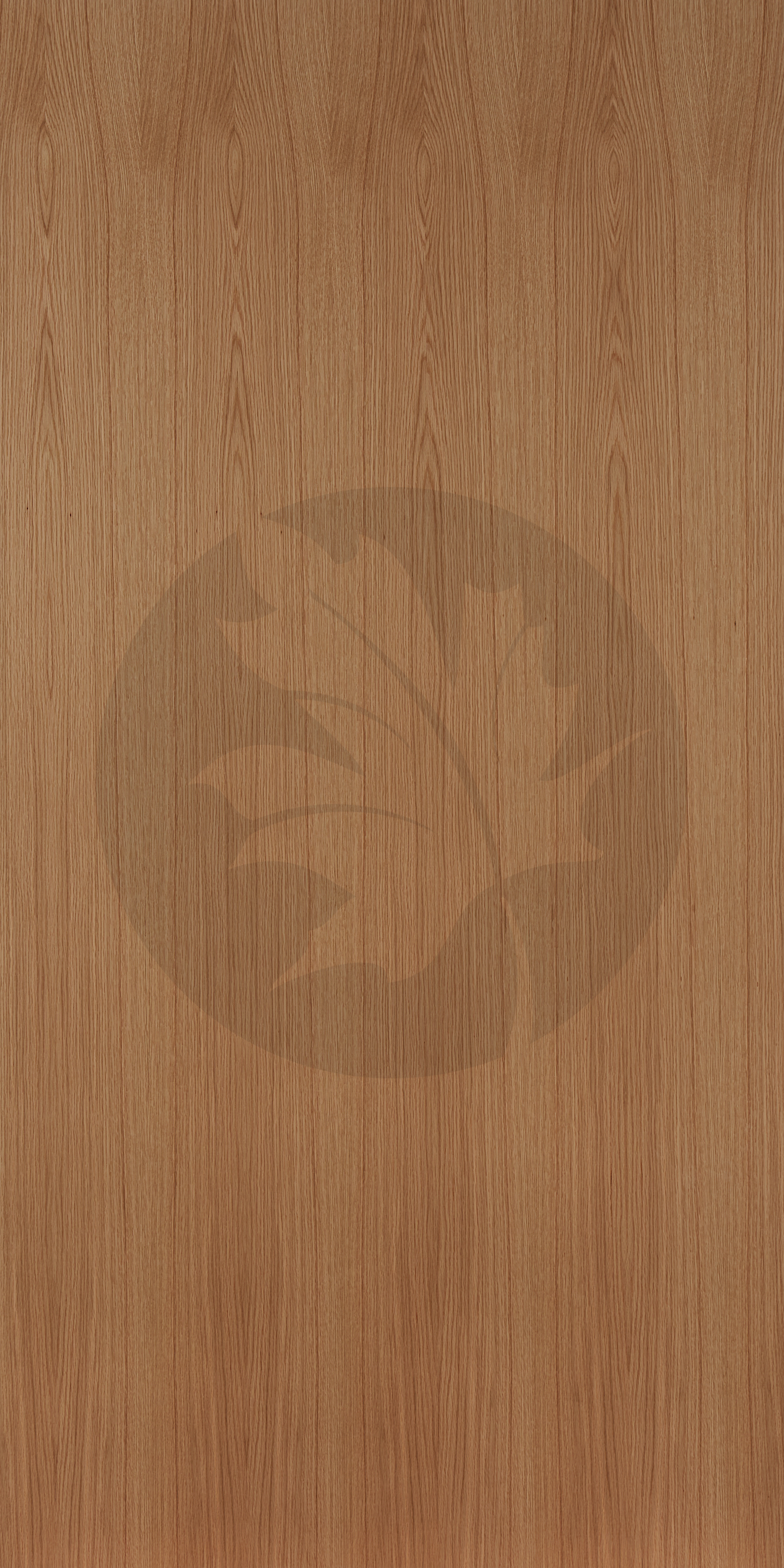 B PLAIN SLICED WHITE OAK FACE3