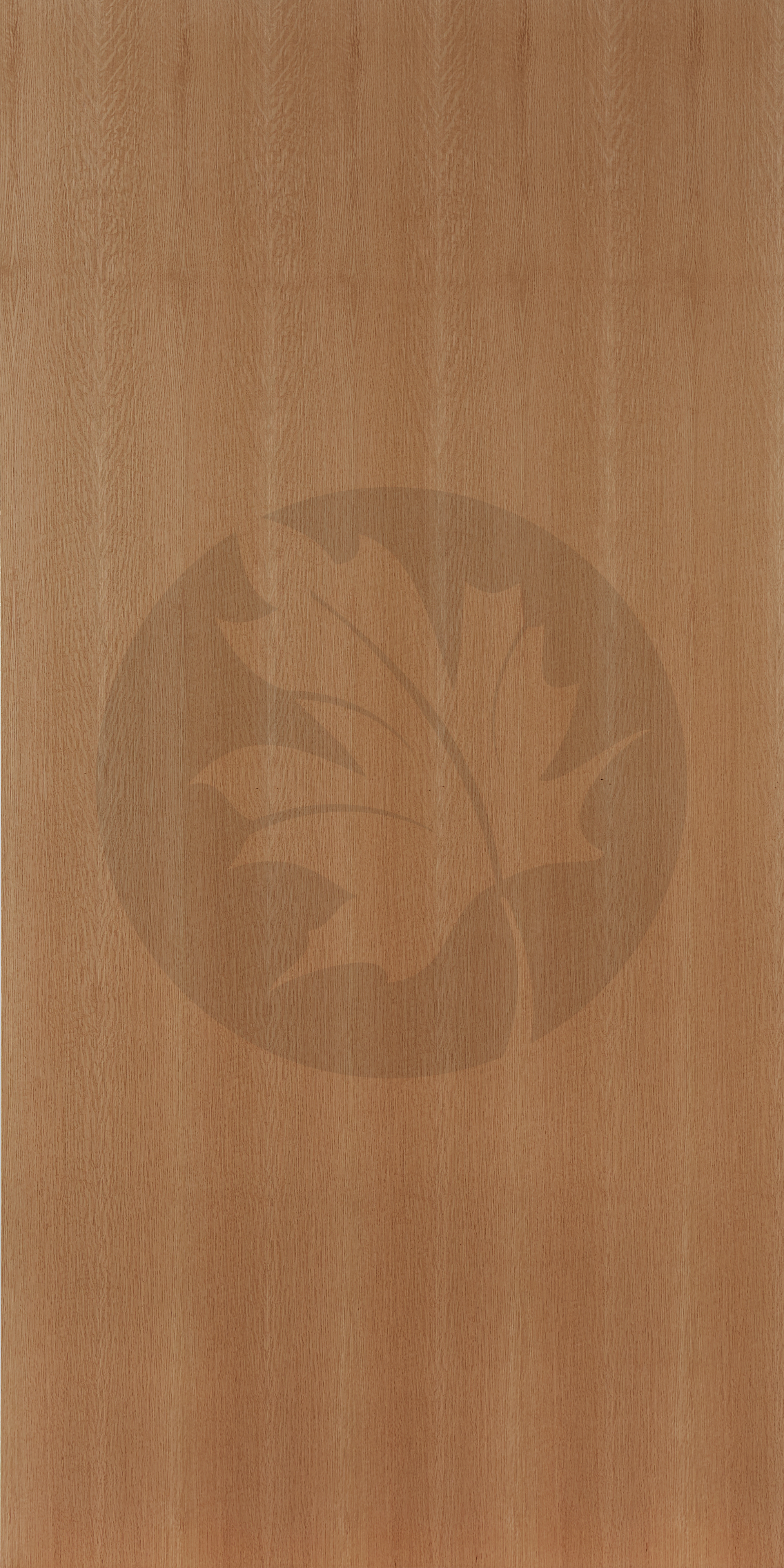 A QUARTER SAWN WHITE OAK FACE1