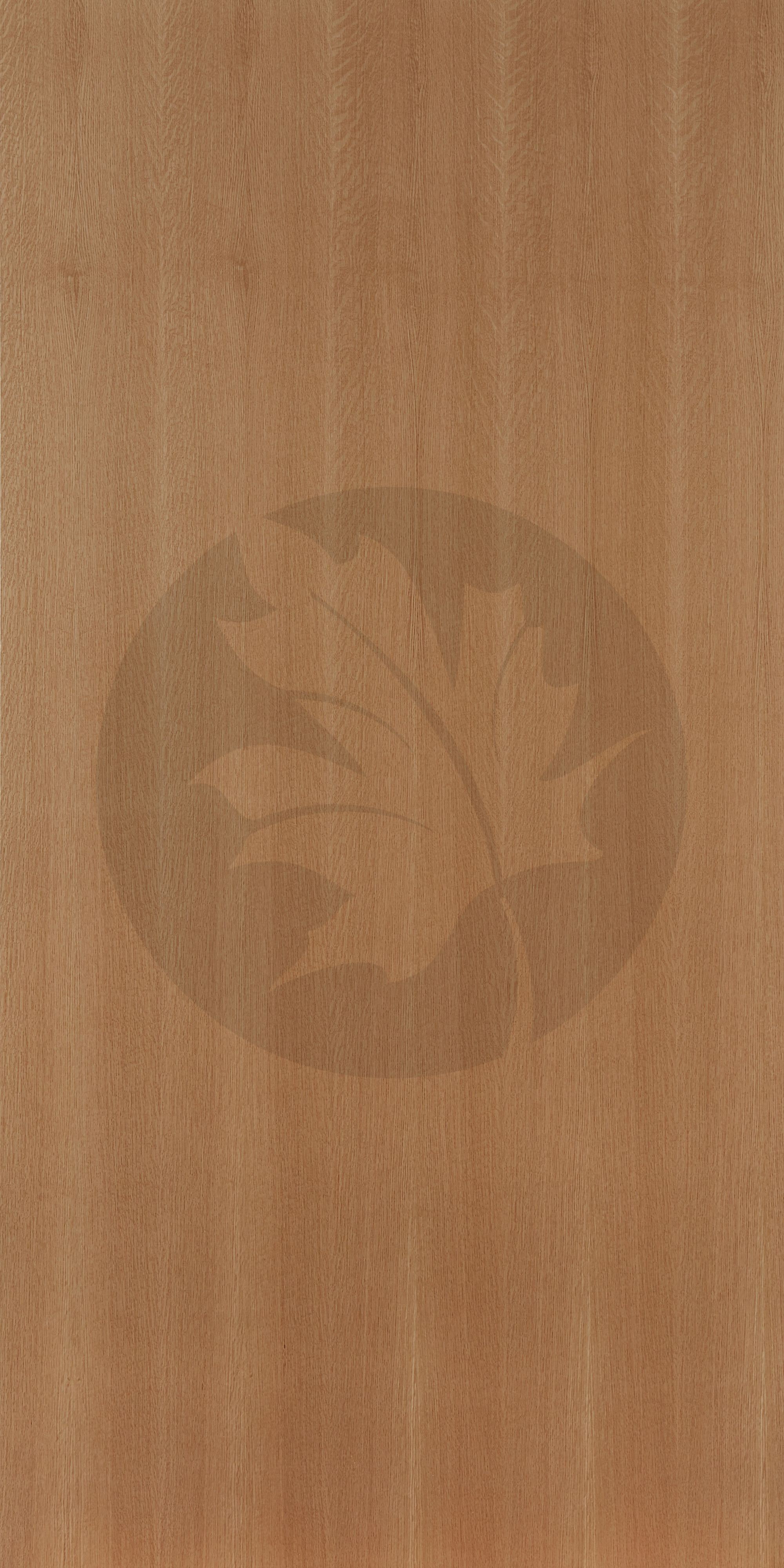 A QUARTER SAWN WHITE OAK FACE2