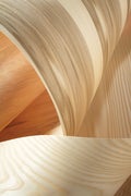 veneer beauty
