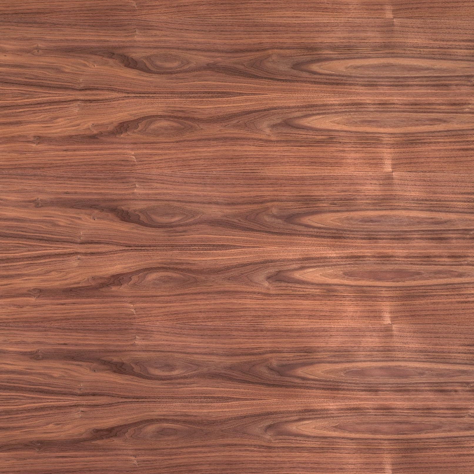 American Black Walnut Veneer | Columbia Forest Products